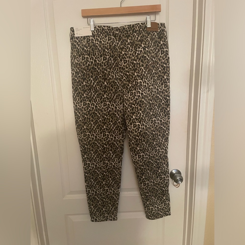 American Eagle Outfiters